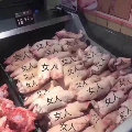 分享者頭像