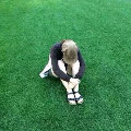 分享者頭像