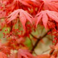 分享者頭像