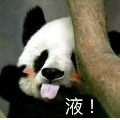 分享者頭像
